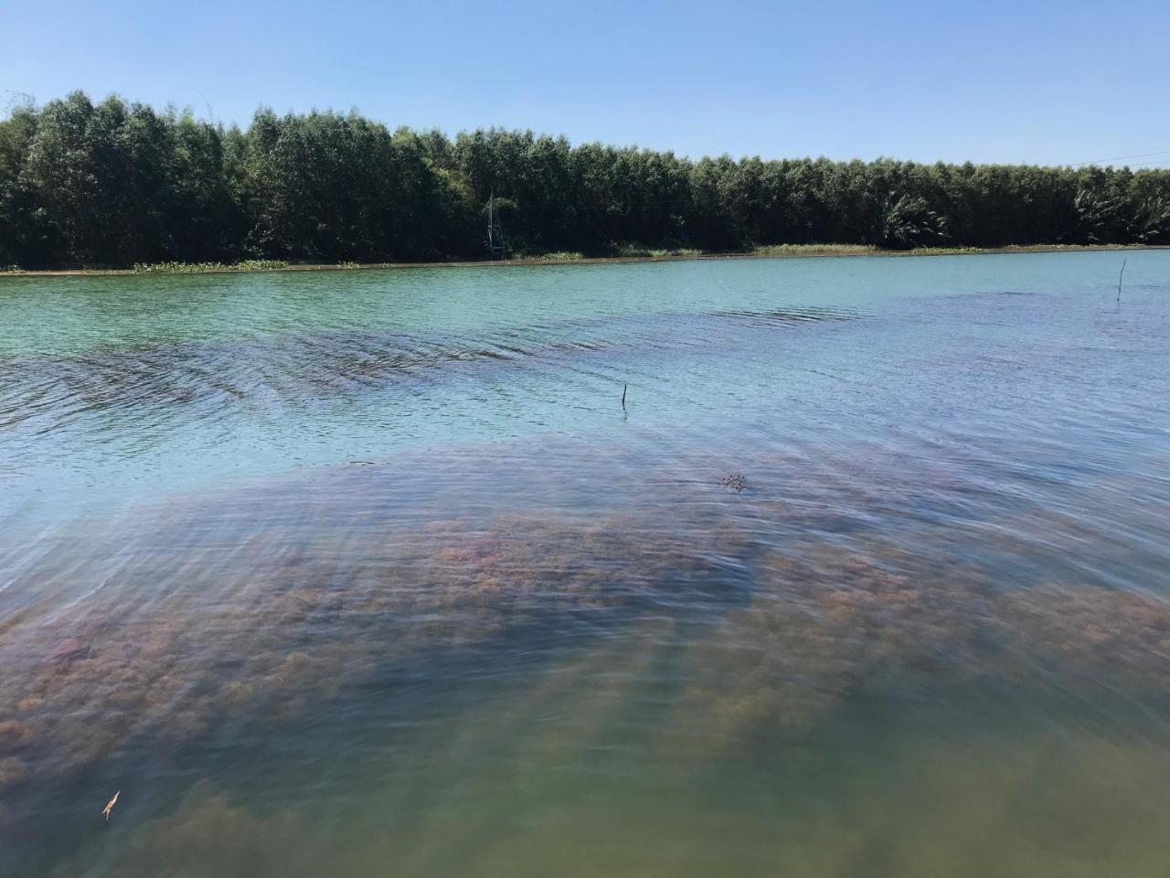 Chi-Bu Riverside Nhon Trach Zewnętrze zdjęcie